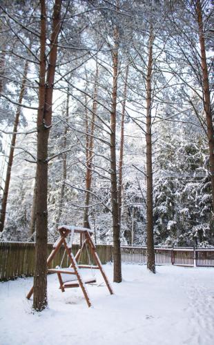 a swing set in the snow next to trees at Jarzębinowa - Dom do wynajęcia na Podlasiu in Łuka