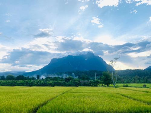 un campo de hierba verde con una montaña en el fondo en KraThom Doi Luang, en Chiang Dao