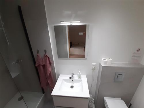 uma casa de banho com um lavatório, um WC e um espelho. em Résidences De Champles em Bierges