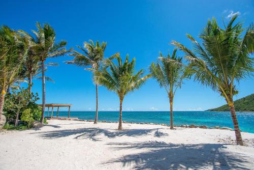 a group of palm trees on a beach at Saba Rock Resort in Virgin Gorda