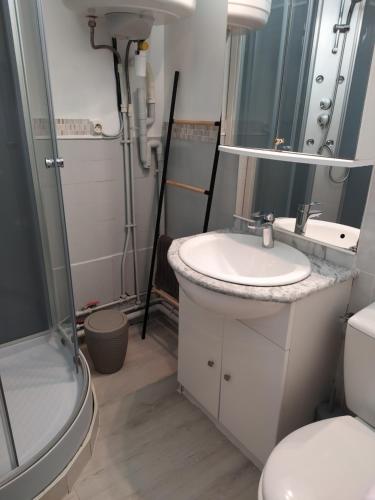 une salle de bain avec un lavabo, une douche et des toilettes dans l'établissement Charmant 2 pièces à 500 m des plages et du centre, à Cabourg