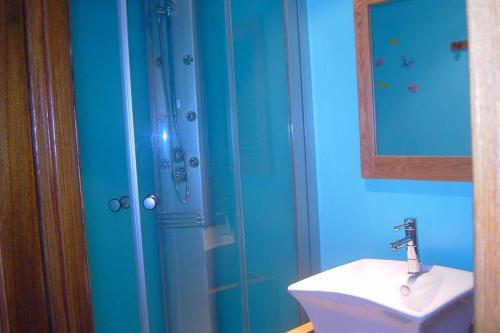 濱海克里耶勒的住宿－Maison Le four à chaux，带淋浴、盥洗盆和镜子的浴室