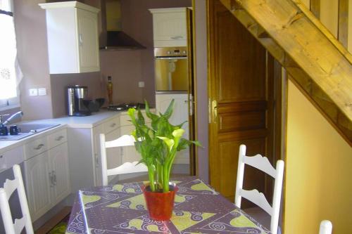 濱海克里耶勒的住宿－Maison Le four à chaux，厨房里摆放着植物的桌子