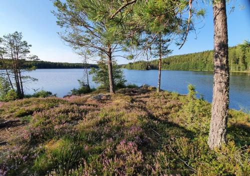 a view of a lake between two trees at Ferienwohnung Lövåsängen im Waldbauernhof, Årjäng in Årjäng
