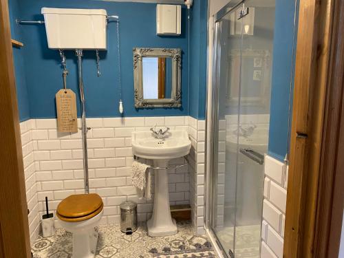 uma casa de banho com um WC, um lavatório e um chuveiro em Wheelhouse - Grinkle Bell Cottage em Saltburn-by-the-Sea