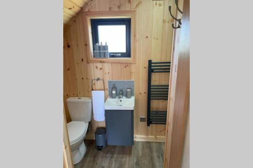 a bathroom with a toilet and a sink at Allt Yelkie Pod Dha, Earlish in Earlish