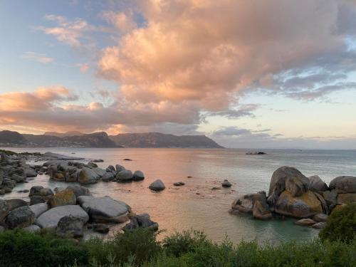 a group of rocks on the shore of a beach at Bosky Dell on Boulders Beach in Simonʼs Town