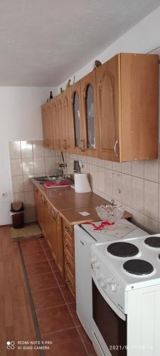 Dapur atau dapur kecil di Smještaj Nevesinje