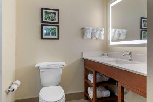 Bilik mandi di Comfort Suites West Monroe near Ike Hamilton Expo Center