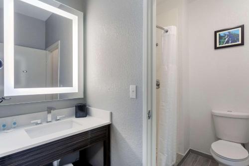 a bathroom with a sink and a toilet and a mirror at Comfort Inn & Suites Memphis East in Memphis