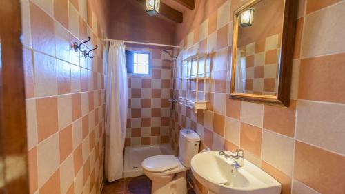 bagno con servizi igienici, lavandino e specchio di Casa Tobalo Almachar by Ruralidays ad Almáchar