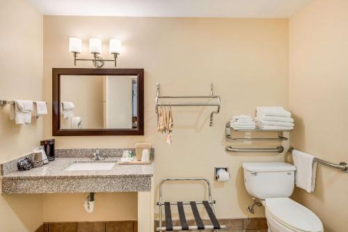 a bathroom with a toilet and a sink and a mirror at Quality Inn Ozona I-10 in Ozona