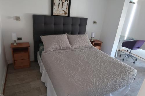 a bedroom with a large bed and a chair at Hermoso departamento, excelente ubicación in Santiago