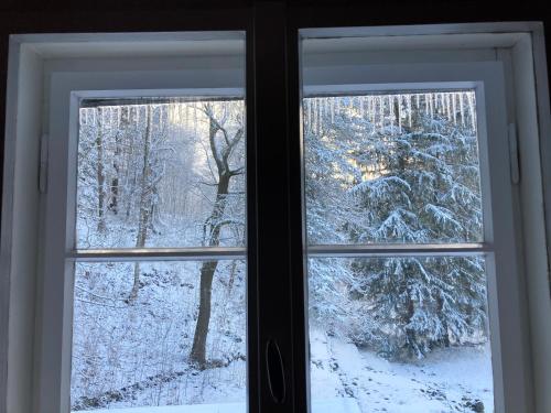 a window with a view of a snow covered forest at Rakouská vila in Bělá pod Pradědem