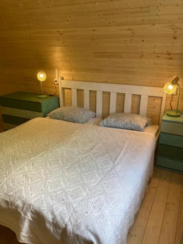 a bedroom with a bed and two lamps on tables at Rakouská vila in Bělá pod Pradědem