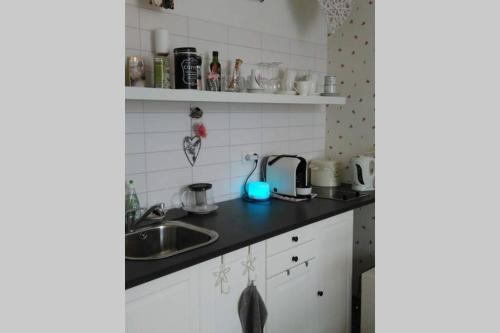 a kitchen with a sink and a counter top at Stylový apartmán v centru Náchoda in Náchod