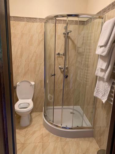 a bathroom with a shower and a toilet at Dwór na Wrzosowisku in Cisna
