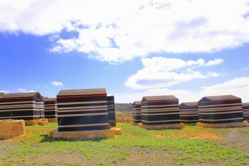 a row of black and white buildings in a field at Ein lahda camp-site in Dana