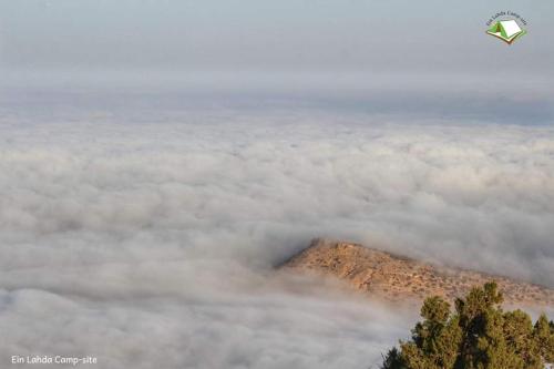 a kite flying over a mountain in the clouds at Ein lahda camp-site in Dana