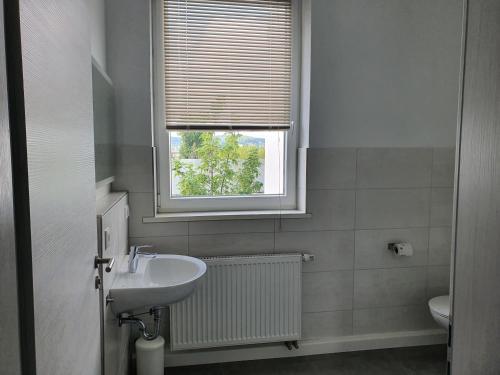 een badkamer met een wastafel en een raam bij Zum Obstler - Gaststätte und Pension in Gera