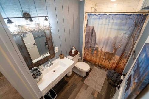 a bathroom with a sink and a toilet and a shower curtain at Roscoe Cottage Pet Friendly in Roscoe