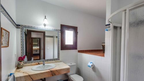 uma casa de banho com um lavatório, um WC e um espelho. em Casa La Vina del Arenal Pizarra by Ruralidays em Pizarra