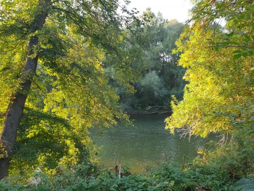 a river surrounded by trees and a forest at Radetov konak in Ðunis