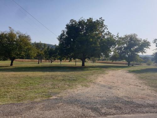 a field with trees and a dirt road at Radetov konak in Ðunis