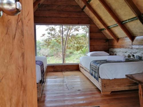 two beds in a room with a window at Cacao Glamping in Cotundo