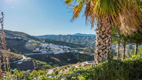 a palm tree on a hill with a view of a city at Casa La Noria Iznate by Ruralidays in Iznate