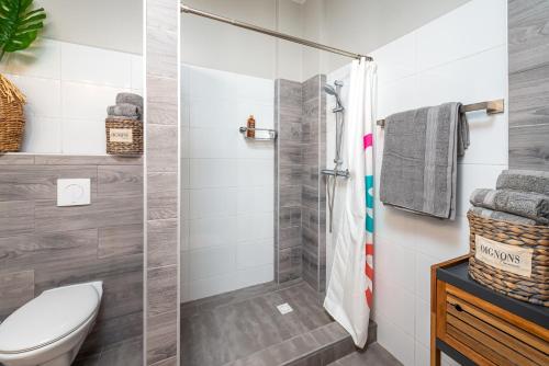 a bathroom with a shower and a toilet at Villa Chica 3 min to Beach, Diving & Restaurants with Pool and private Garden 10 min to Windsurfing & Kitesurfing in Belnem