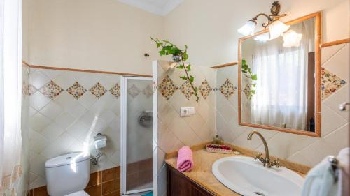 ein Badezimmer mit einem Waschbecken, einem WC und einem Spiegel in der Unterkunft Casa El Parque de Isabel Prado del Rey by Ruralidays in Prado del Rey