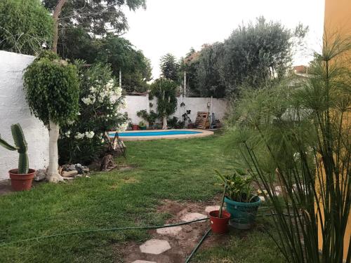 a yard with a swimming pool and some plants at Gran Casa a pasos Casino ANTAY in Copiapó