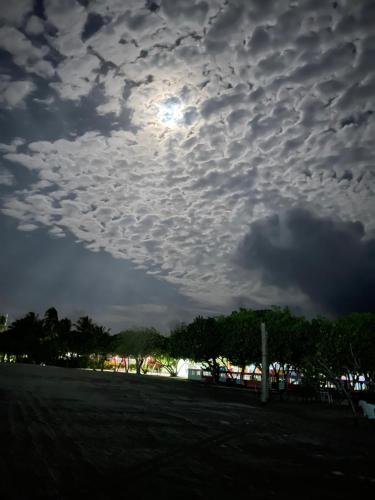 Foto dalla galleria di La Isla Tropica a Guraidhoo