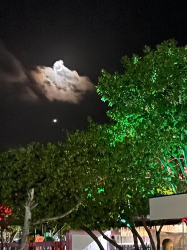 Foto dalla galleria di La Isla Tropica a Guraidhoo