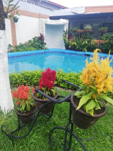 a black bike with flowers on it next to a swimming pool at Berlor Airport Inn in Alajuela City