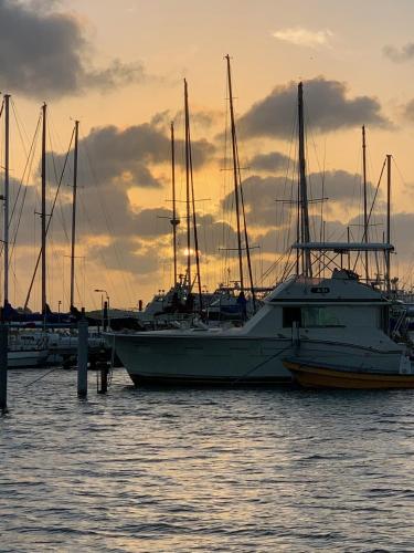 a large boat is docked at a marina at Vistalmar Ocean Suites in Oranjestad