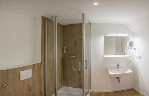 a bathroom with a shower and a sink at Lauers Ferienwohnung 2 in Schoneck