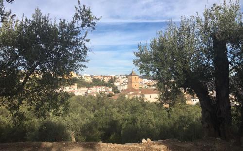Jardin Andaluz Appart Alhambra, Pinos del Valle – Bijgewerkte ...