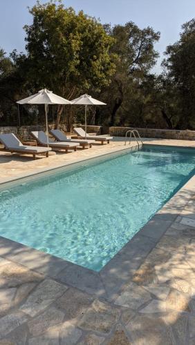 a swimming pool with lounge chairs and umbrellas at The "M" House in Gaios