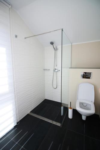 a bathroom with a toilet and a glass shower at The Butterfly in Sîngeorgiu de Mureş