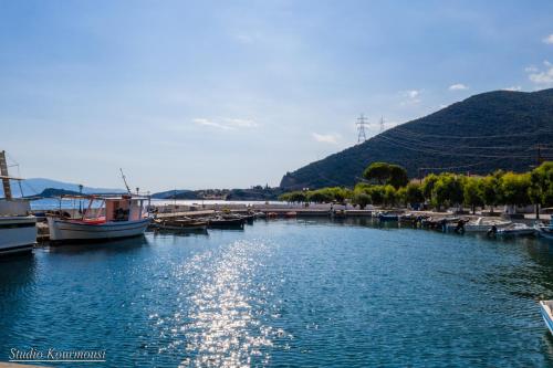 a marina with boats and a bridge on a river at Amaryllis Holiday Home in Agios Spiridon Fokidas