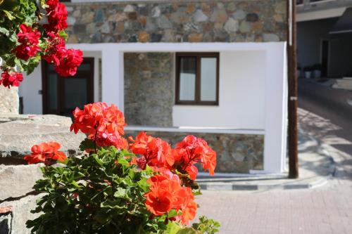 a bush of red flowers in front of a house at Tsangaris House in Action in Limassol