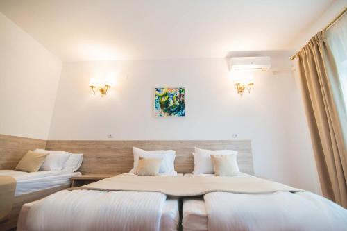a hotel room with two beds and a window at Hotel Class in Brezoi