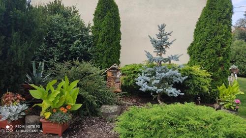 a garden of plants and trees with a small house at Chata Václav in Bílina