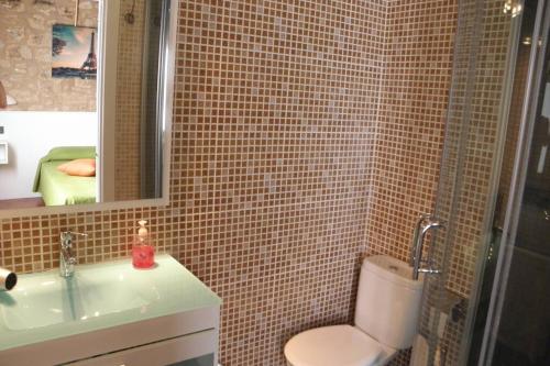 a bathroom with a toilet and a sink and a mirror at Casa Parra Lazagurria in Lazagurría