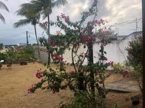 Casa de Férias Casa na Redinha / Natal RN (Brasil Natal) Casa de Férias Casa na Redinha / Natal RN (Brasil Natal)