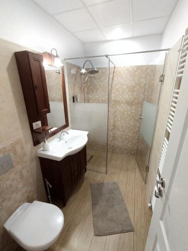 a bathroom with a toilet and a sink and a shower at Fanea Residence in Timişoara
