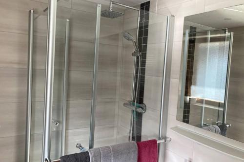 a shower with a glass door in a bathroom at Gemütliche Ferienwohnung in Sankt Blasien in St. Blasien
