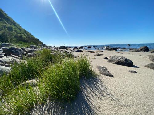 a patch of grass on a beach near the water at Ferien-im-Duenenhaus Lasse in Glowe
